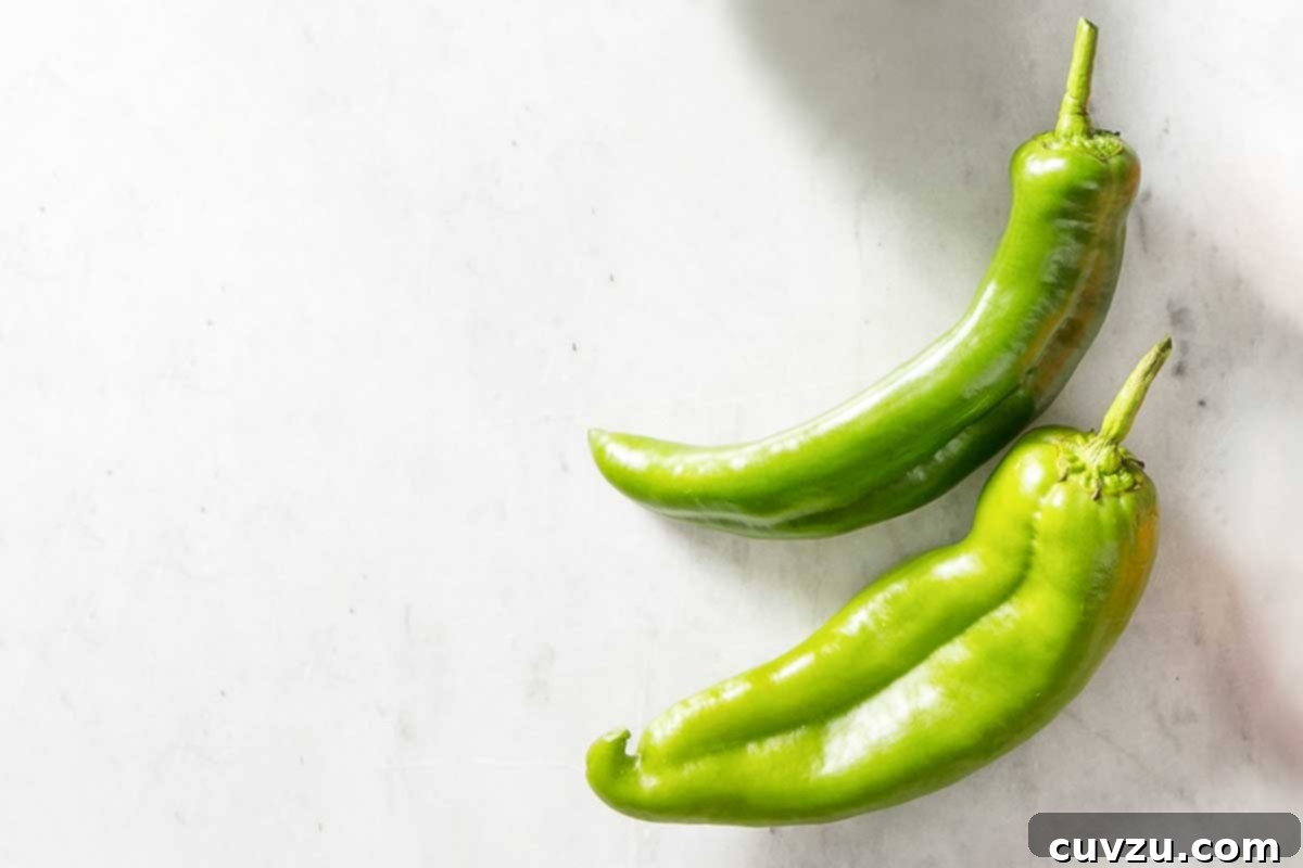 Fresh Chile Peppers: Decoding the Differences 3 Two slender, glossy green Shishito peppers, ready for blistering or grilling, representing mild chile varieties.
