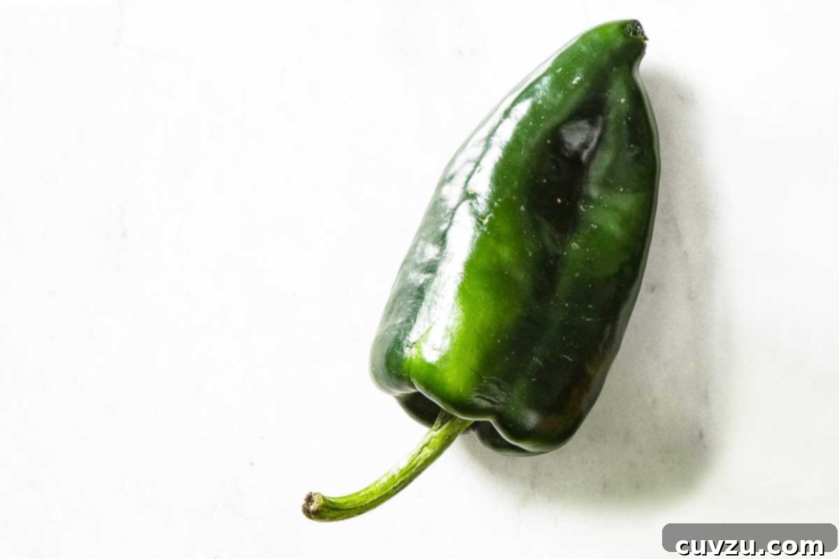 Fresh Chile Peppers: Decoding the Differences 4 A dark green, broad-shouldered Poblano pepper, emblematic of mild to medium-heat chiles often used for stuffing.