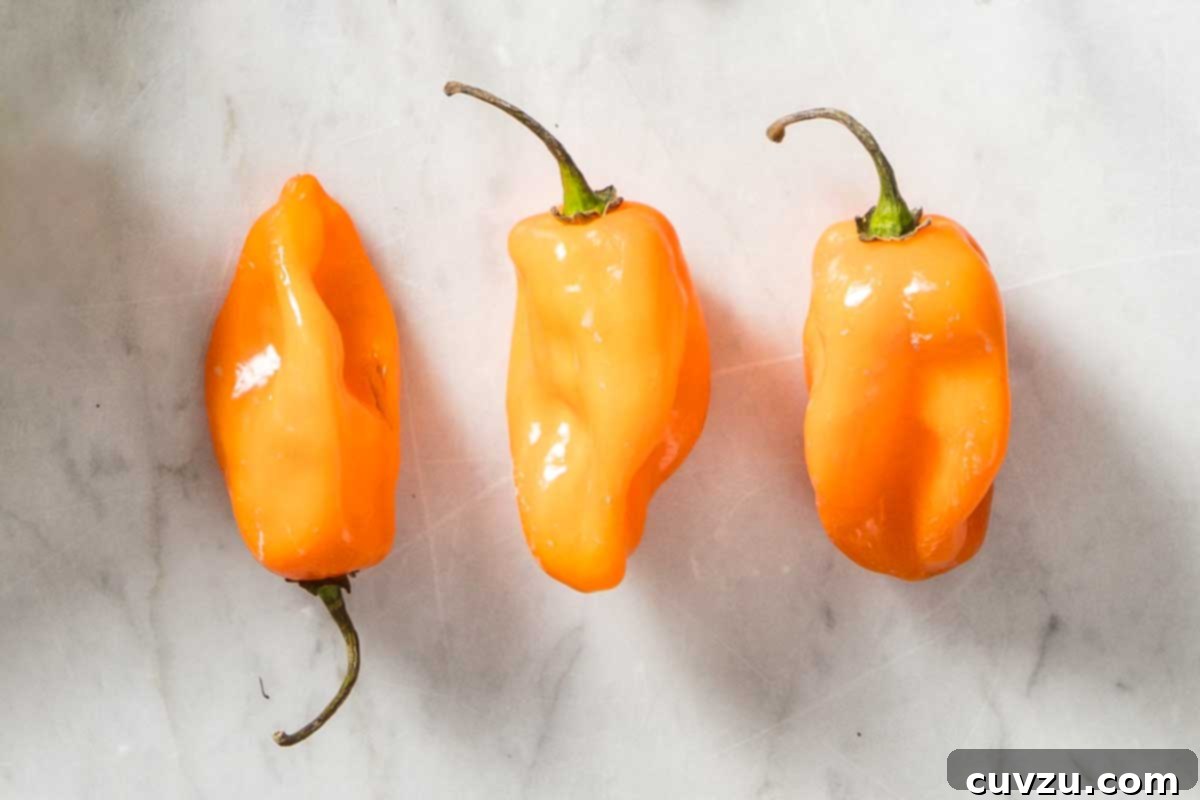 Fresh Chile Peppers: Decoding the Differences 9 Three bright orange, lantern-shaped Habanero peppers, signifying their intense fruity flavor and extreme heat, often used in hot sauces.