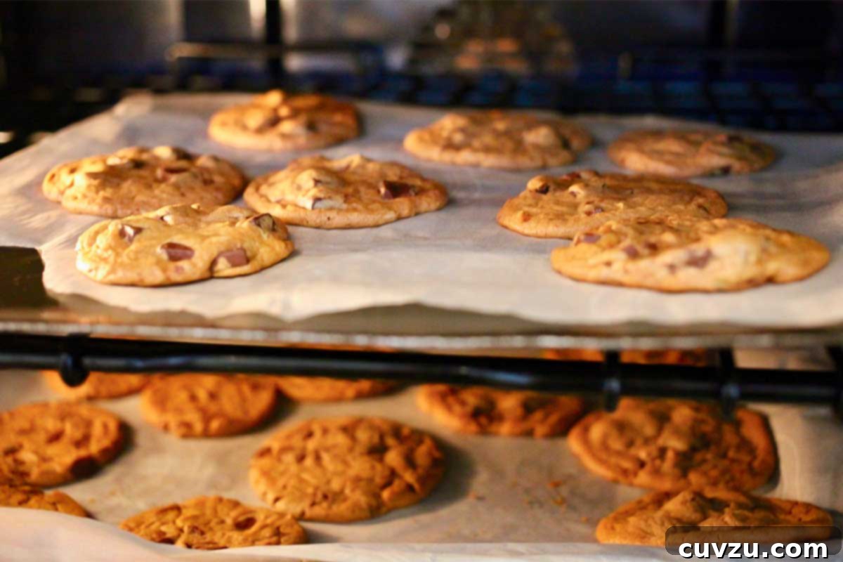 Two trays of cookies baking in an oven as explanation of how do convection ovens work.