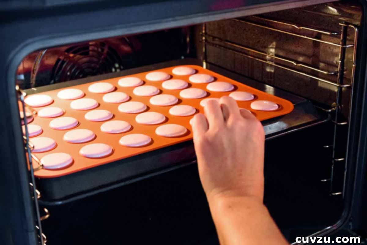 Someone putting a baking sheet filled with macarons into the convection oven.