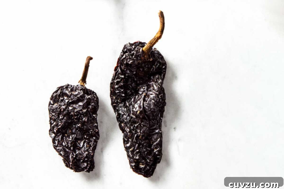 Demystifying Dried Chile Varieties 4 Two dark, crinkly ancho chile peppers, embodying their rich, earthy character and deep flavor, ready for use in robust culinary creations.
