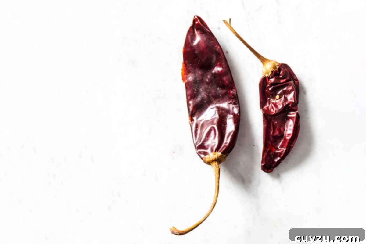 Demystifying Dried Chile Varieties 6 Two elongated, reddish-brown New Mexican chile peppers, showcasing the classic form and color that define this popular Southwestern culinary staple.