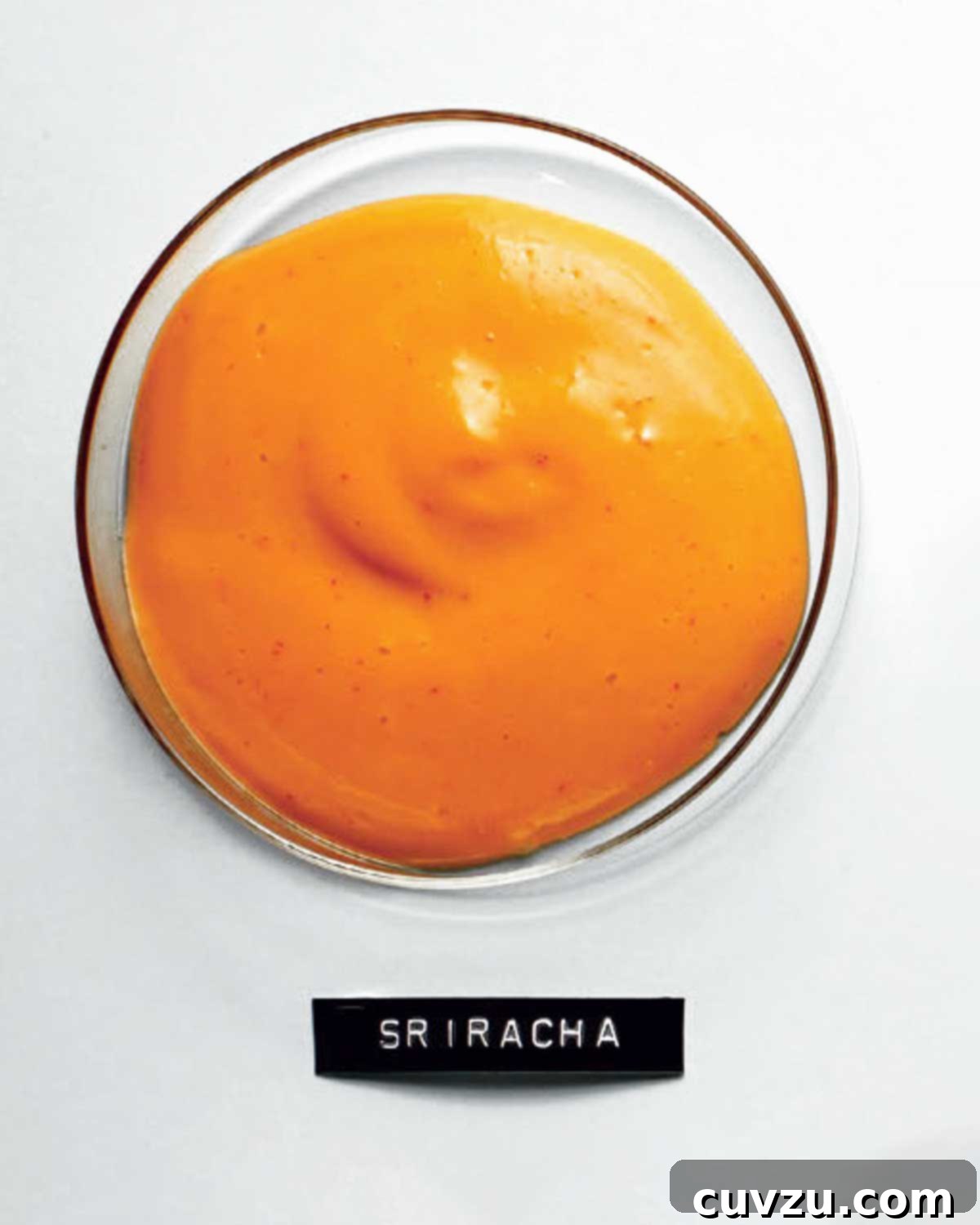 A small glass bowl filled with creamy orange Sriracha mayonnaise, with a neatly typed label identifying the sauce positioned directly underneath it.