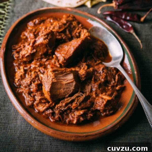 An oval bowl filled with braised pork in red chile sauce with a spoon resting on the side and a stack of tortillas and dried peppers on the side.