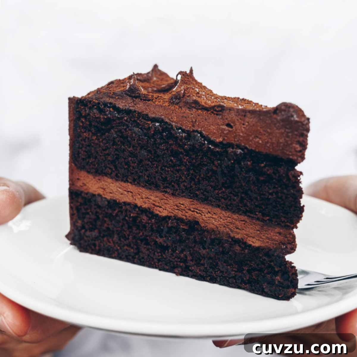 A person holding a plate with a slice of basic chocolate cake on it.