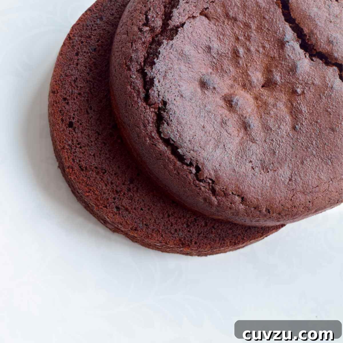 Two vegan chocolate cakes stacked on top of each other.