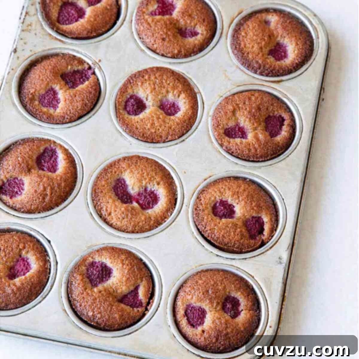 A tray of twelve elegant mini muffin financiers, each delicately topped with two fresh raspberries, showcasing their golden-brown edges.