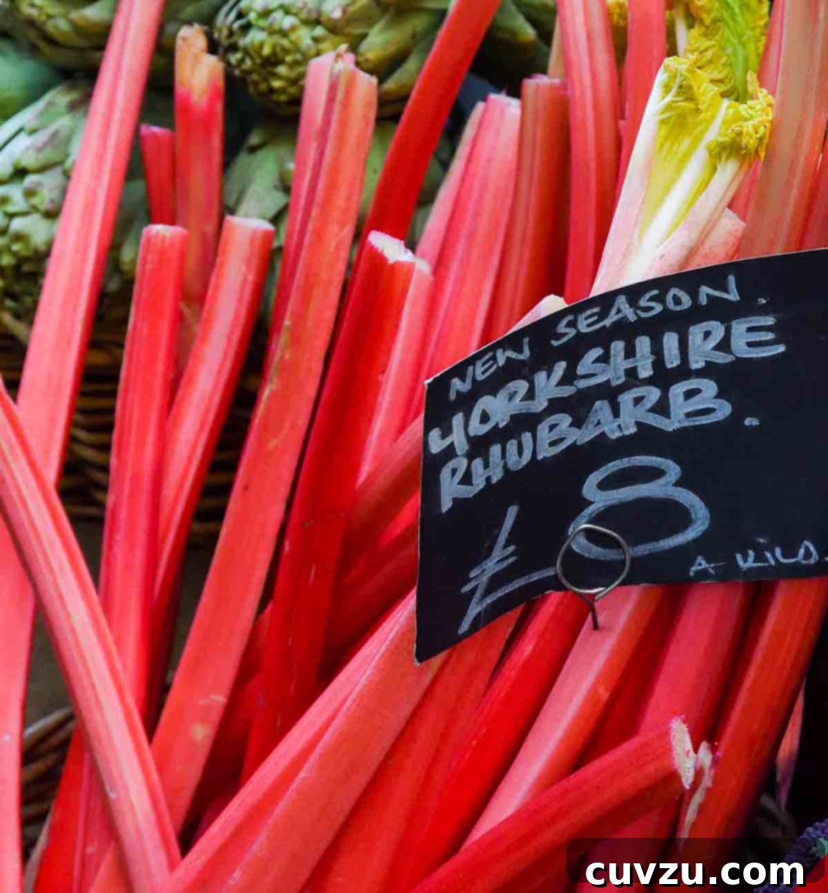 Rhubarb Savvy: Pick It, Keep It, Freeze It 4 Stalks of rhubarb displayed with a black price sign, ready for purchase.