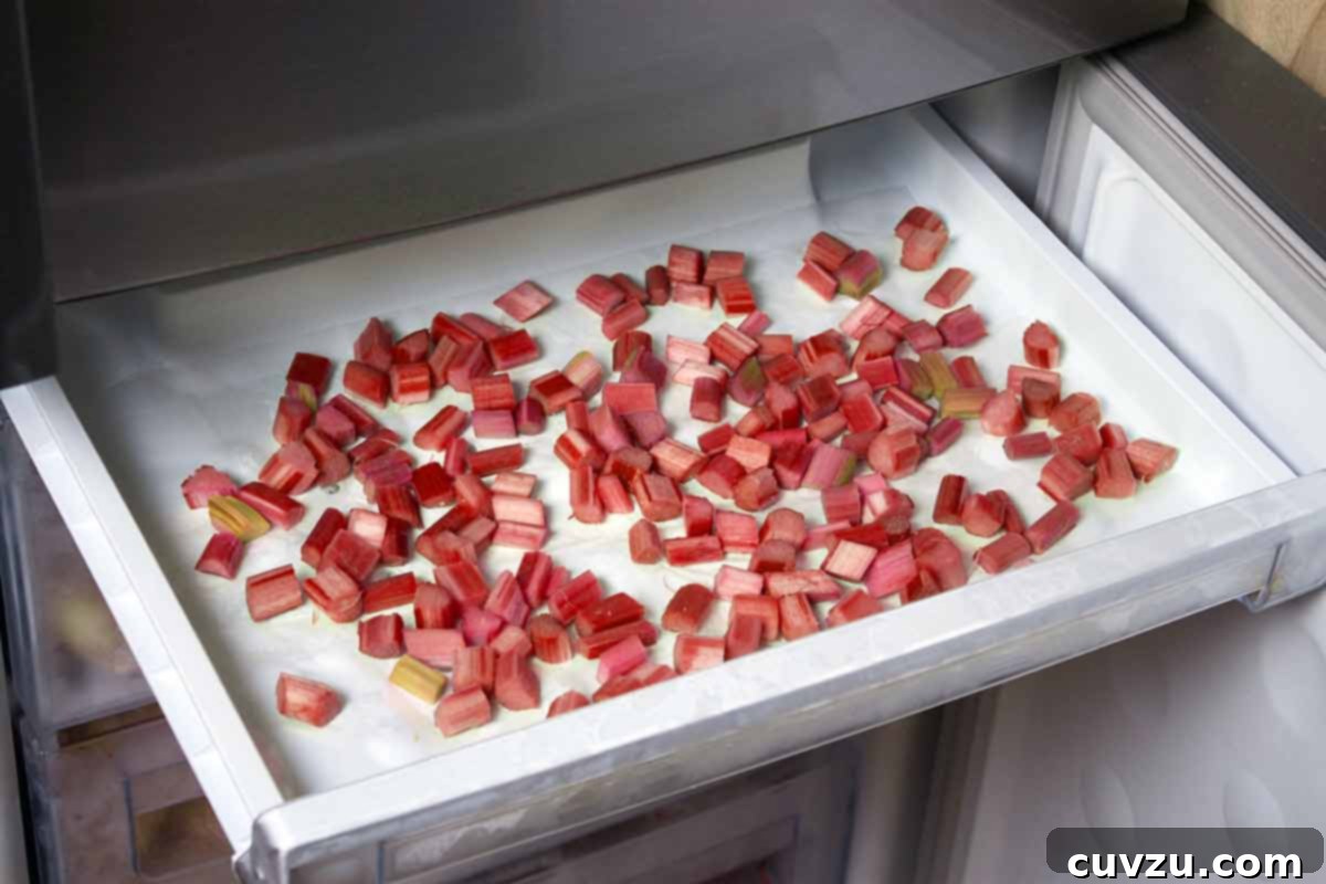 Rhubarb Savvy: Pick It, Keep It, Freeze It 6 Pieces of rhubarb being frozen on a baking sheet, ready for long-term storage.