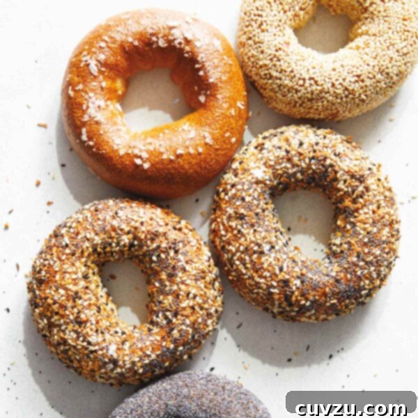 Five rye bagels with assorted toppings on them.