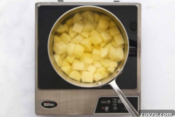 A pot filled with cubed potatoes in water.