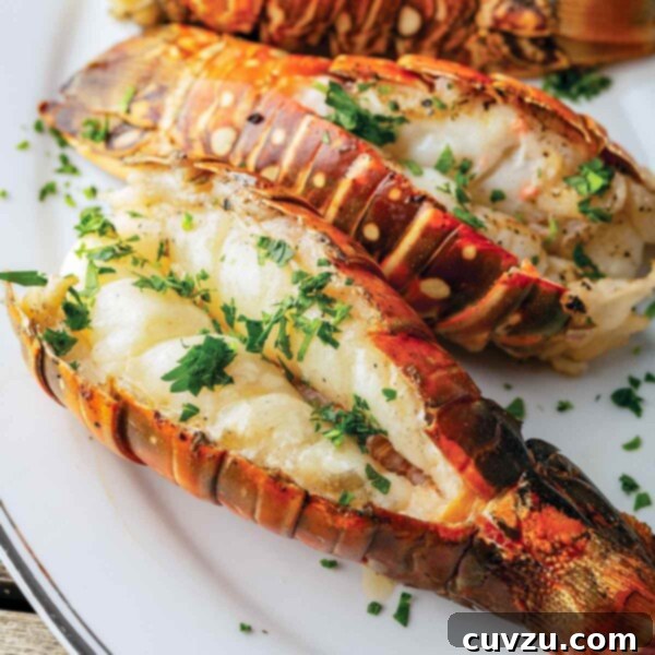 Three grilled lobster tails on an oval platter, garnished with chopped parsley.