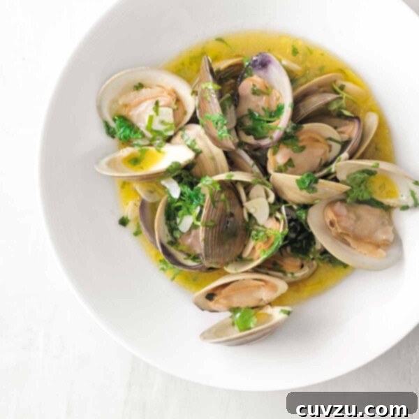 Zesty Portuguese Clams with Vinho Verde 3 A white bowl of Portuguese clams with vinho verde in a olive oil and garlic sauce, garnished with cilantro.