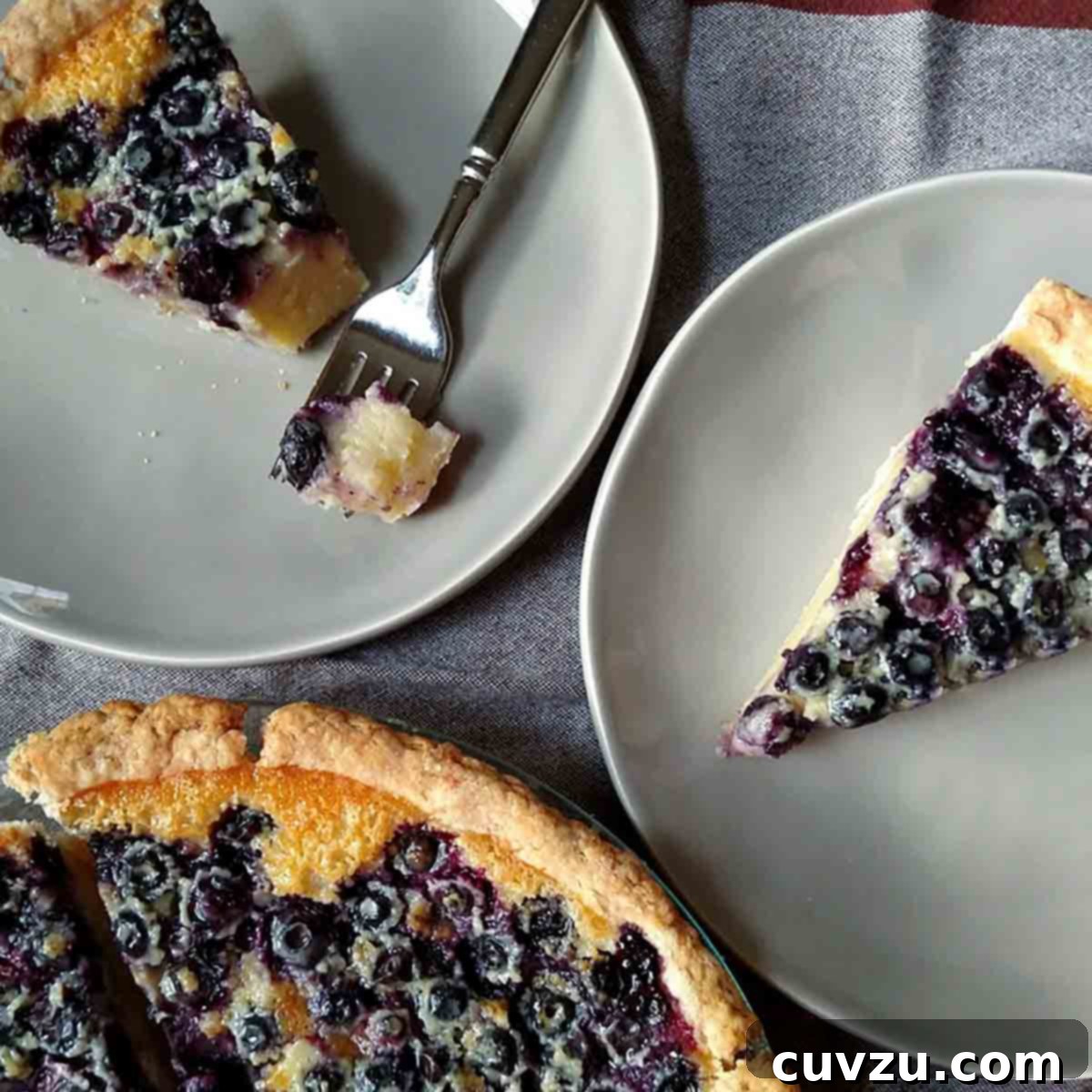 Two-thirds of a blueberry custard pie in a pie plate, with 2 dessert plates with a slice of pie on them, one with a fork and a bite missing.