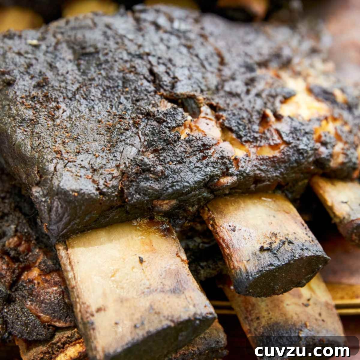 Elevate Your BBQ: 14 Must-Try Smoker Recipes 14 Two slabs of bone-in smoked beef ribs.