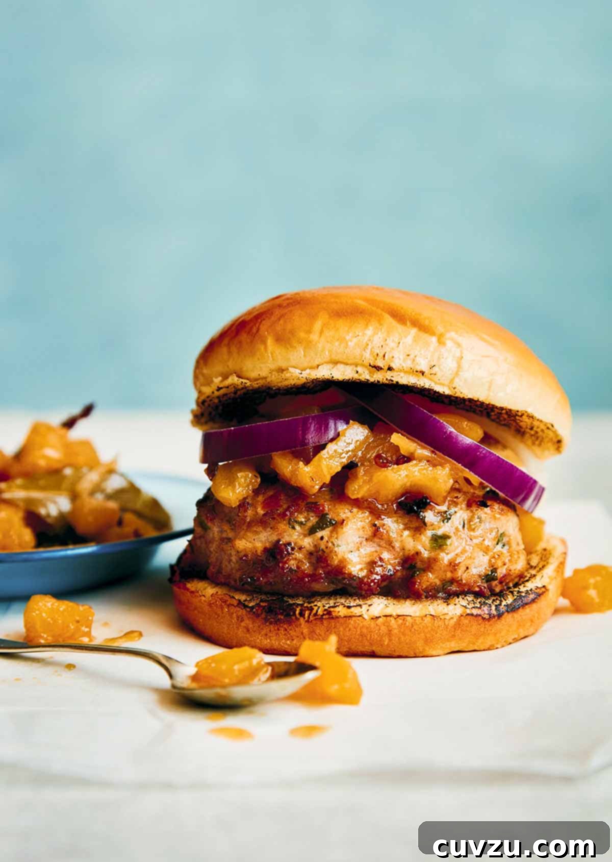 Malvani Chicken Curry 3 An Indian spiced chicken burger, with chutney and red onions on top and a bowl of chutney on the side.