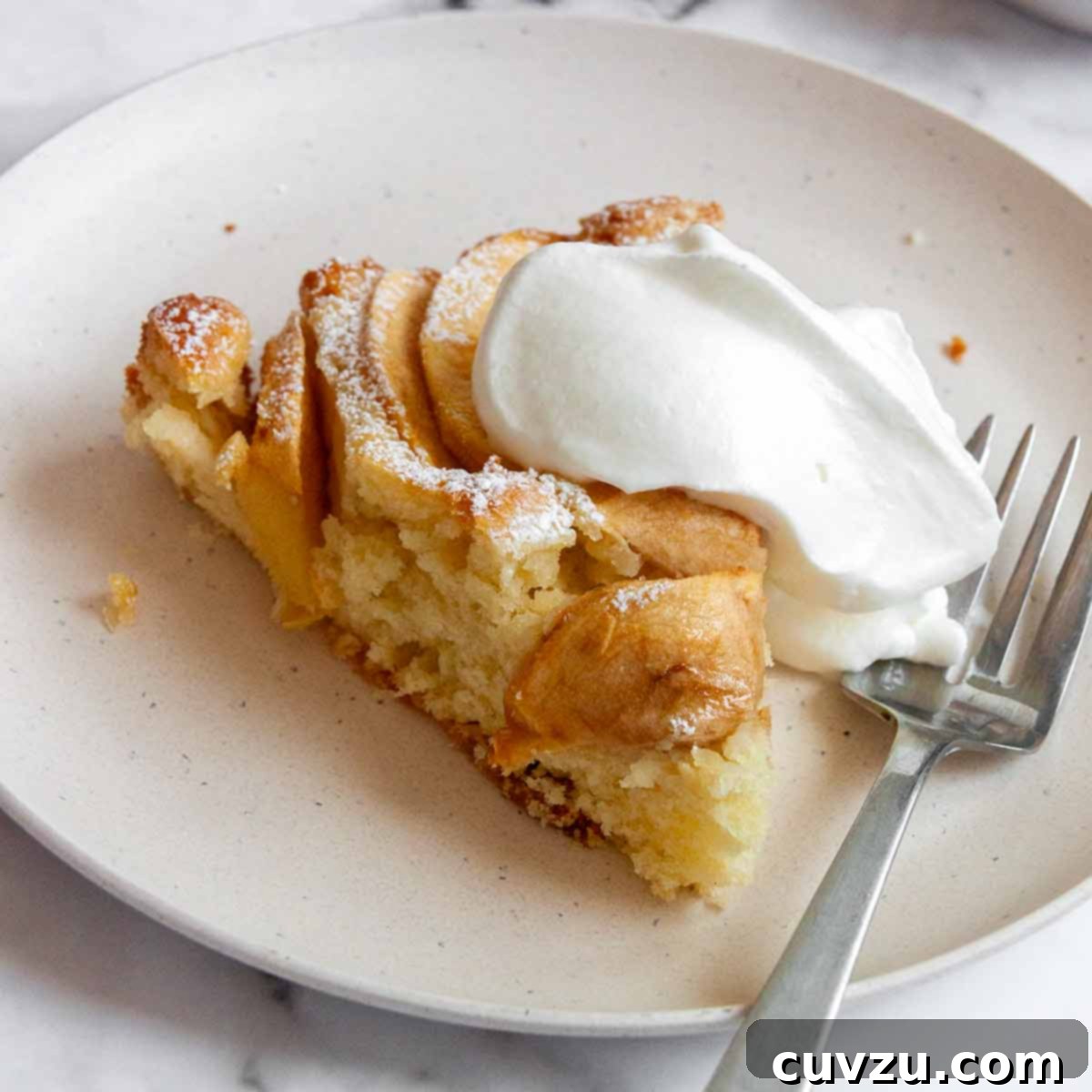 Rosh Hashanah Feasts: 11 Must-Try Recipes 11 A slice of apple cake with a dollop of whipped cream on top.