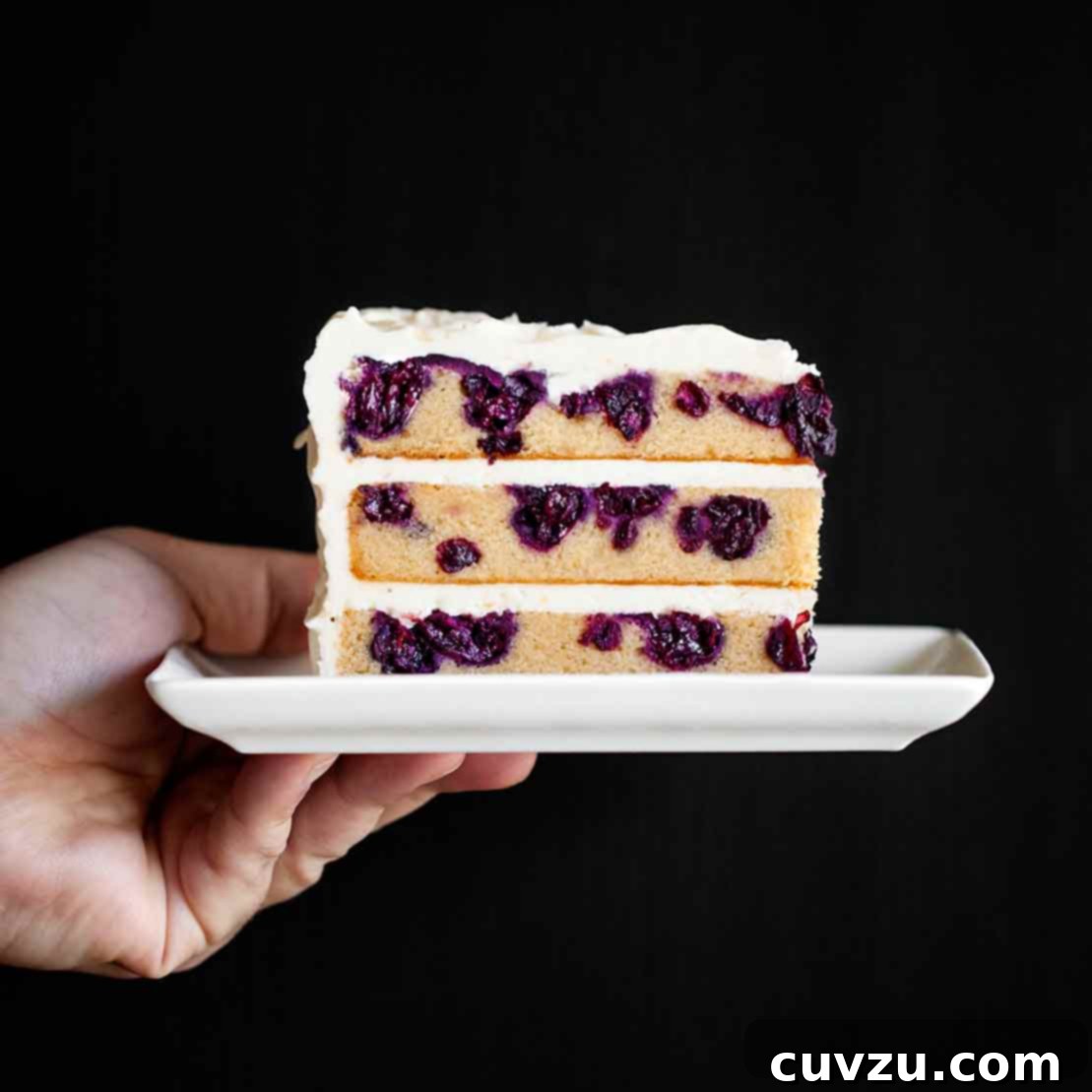 A pristine white plate holding a slice of David Leite's exquisite blueberry-lemon layer cake, revealing its multiple layers of moist yellow cake and creamy lemon frosting.