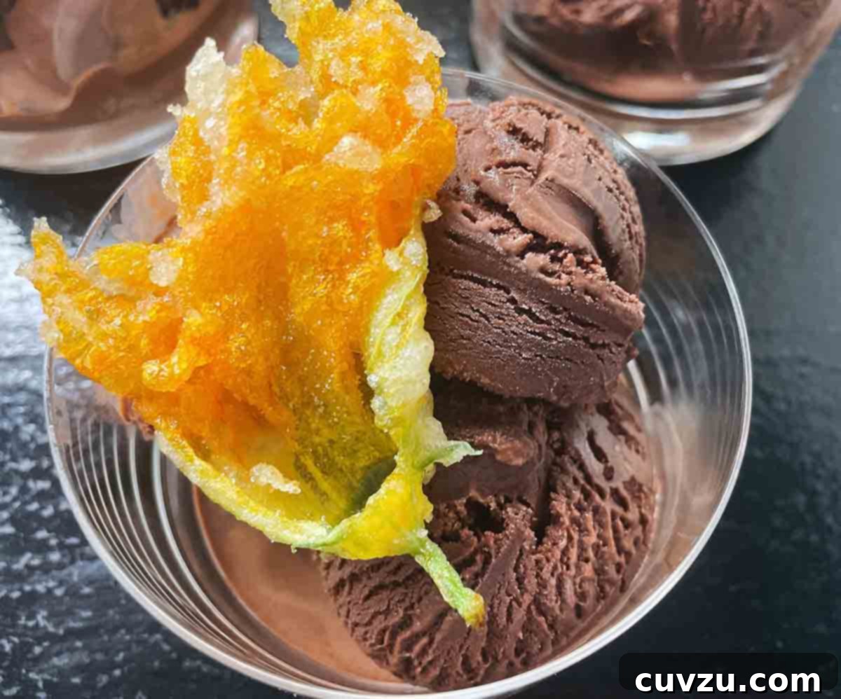 Velvet Dark Chocolate Gelato 5 Three bowls of dark chocolate gelato, the one in the forefront is garnished with a tempura fried zucchini blossom, showcasing a sophisticated serving idea.