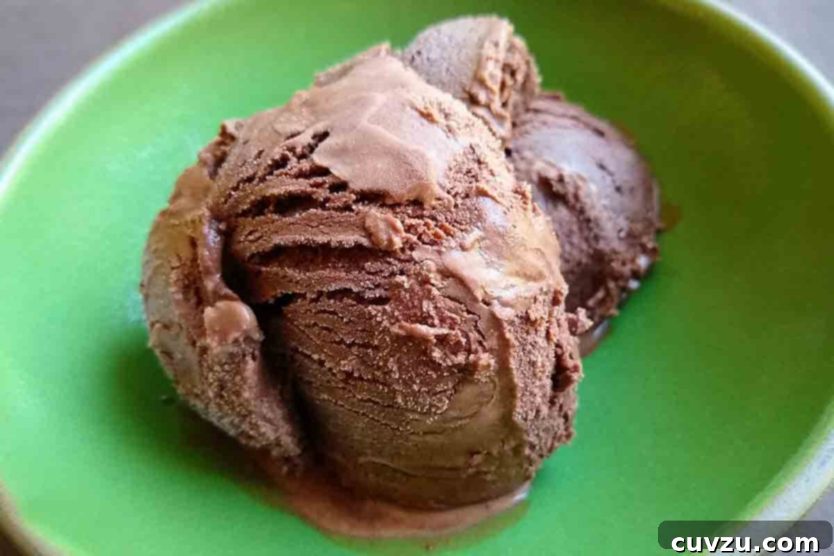 Velvet Dark Chocolate Gelato 6 A bright cream bowl with two perfectly scooped portions of dark chocolate gelato, highlighting its rich color and smooth texture.