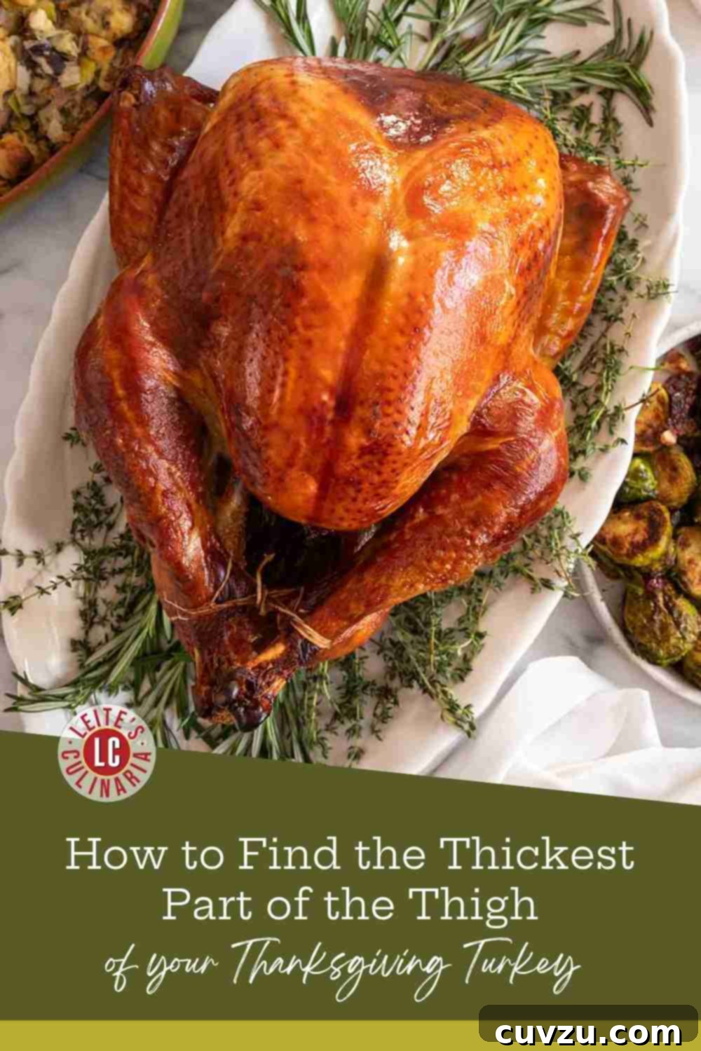Pinpointing the Thickest Part of a Turkey Thigh 3 A beautifully roasted mahogany Thanksgiving turkey on a platter, garnished with fresh herbs, ready for carving.