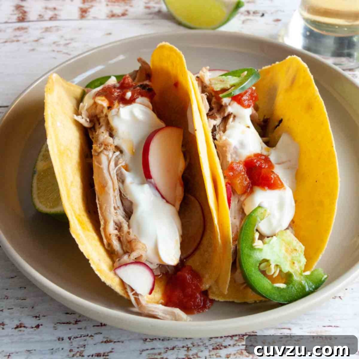 Two vibrant pork tacos, generously filled with shredded pork, crisp radishes, jalapeños, salsa, and sour cream.