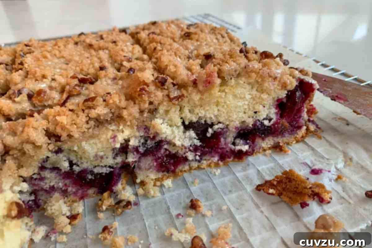 Blueberry Streusel Bliss 6 Blueberry Coffee Cake baked by Sasha Pravdic, showing a perfectly moist interior and golden crust.