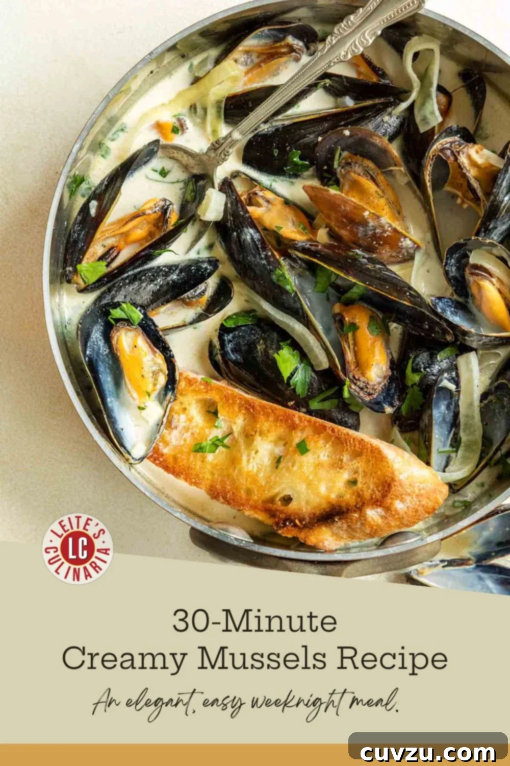 A pan overflowing with perfectly steamed mussels in a creamy broth, beautifully garnished with fresh parsley and served alongside a golden slice of toasted bread.