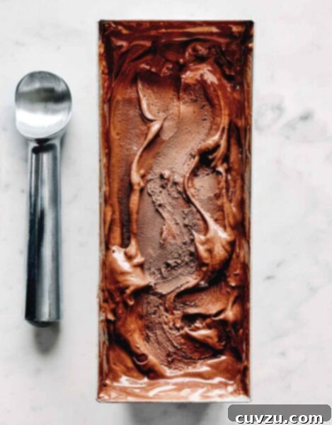Dark chocolate and tahini ice cream in a metal ice cream tin with a swirl on top, with a metal ice cream scoop laying beside it.