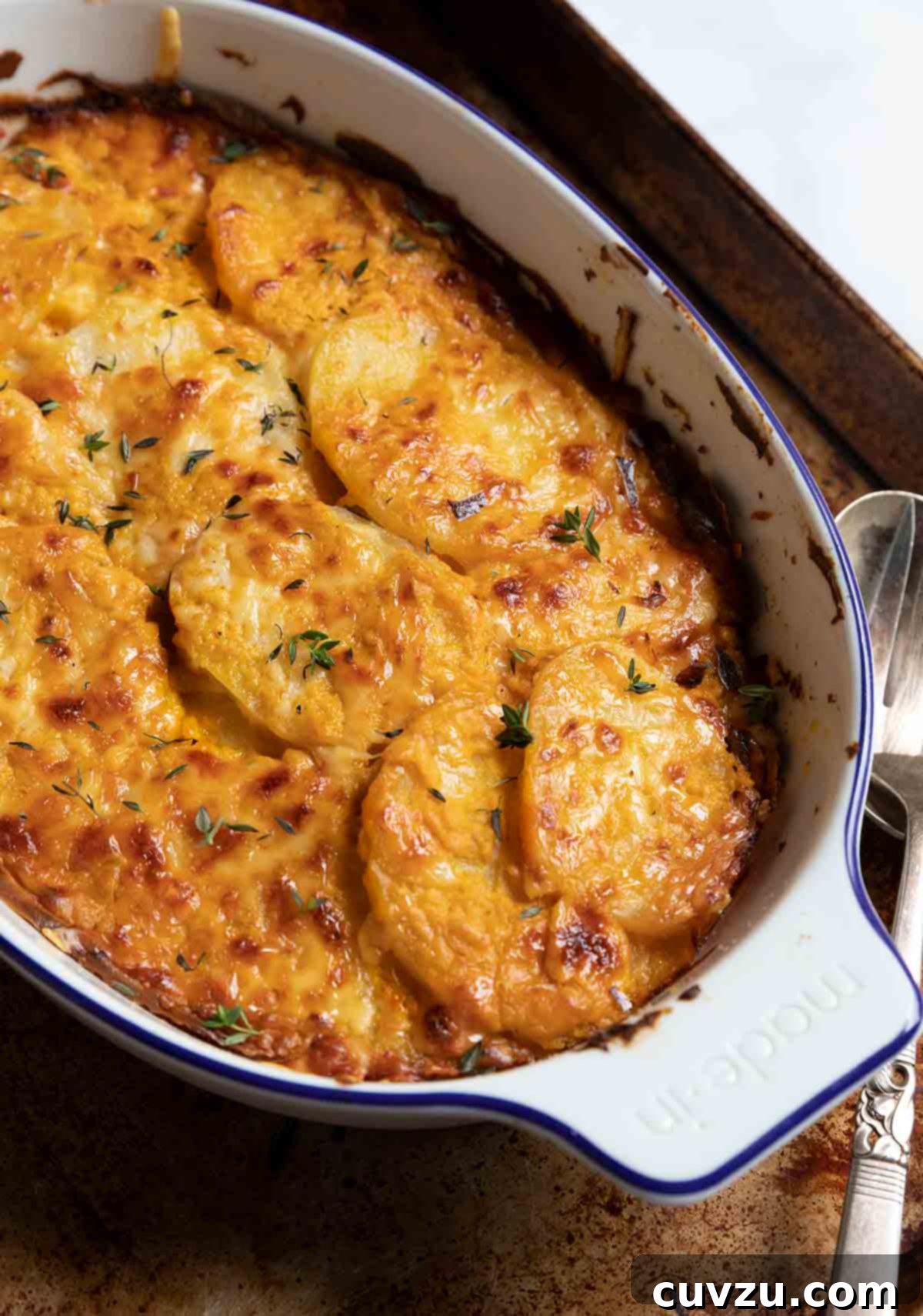 Hearty Golden Pumpkin Potato Gratin 3 A close-up of cheesy pumpkin potato gratin with crispy edges