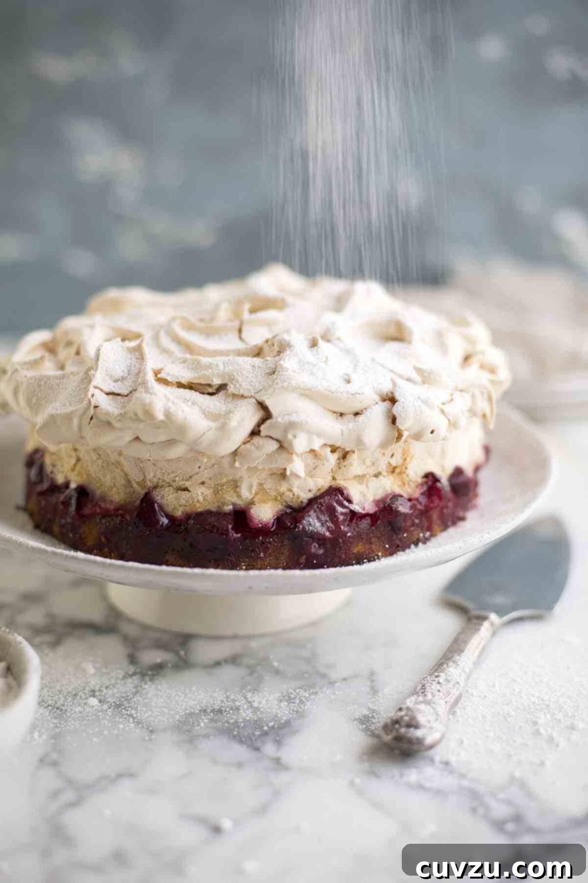 A Louise cake with plum and coconut on a white cake stand with a shower of powdered sugar