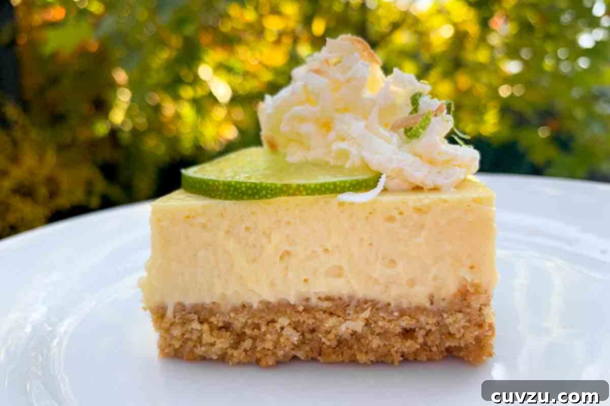 Key Lime Dream Bars 5 Key Lime Bars—Sasha P