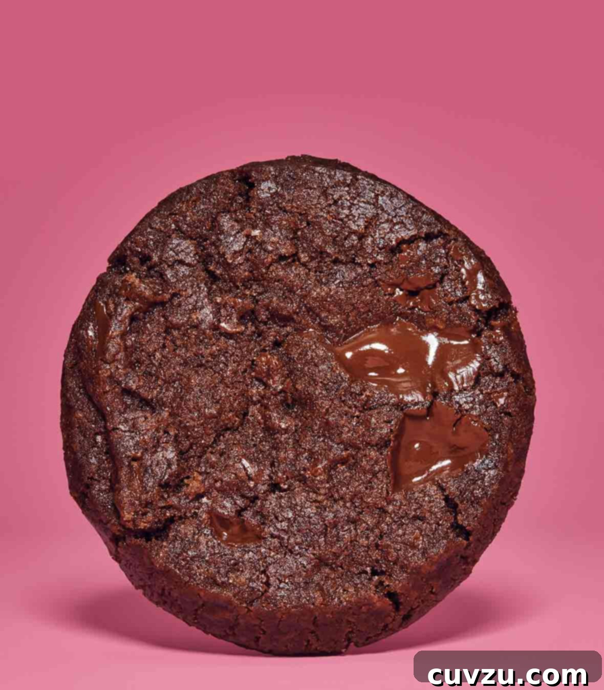 An irresistible World Peace Cookie, also known as a Korova Cookie by Dorie Greenspan, sits enticingly on a soft pink background, showcasing its rich chocolate hue and signature sea salt sprinkle.