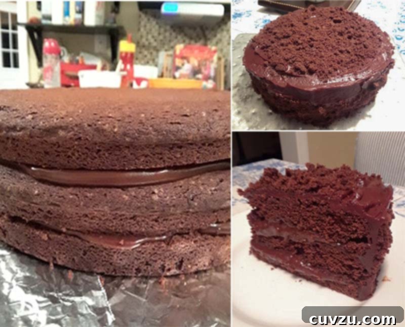 Ebinger's Blackout A Brooklyn Chocolate Legend 5 Three photos of tester's blackout cake, showing its layered structure and rich appearance.