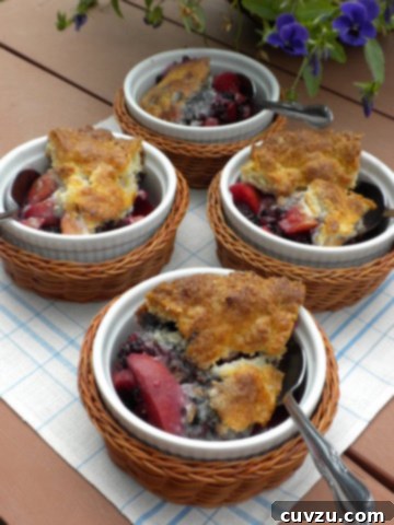Apricot Blackberry Cobbler ready to serve