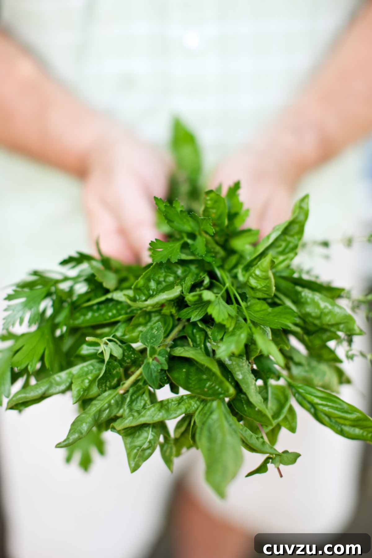 Smart Freezing: Your Guide to Food Preservation 7 A man's hand gently holding a vibrant bunch of fresh culinary herbs, ready for use in cooking or to be preserved for future dishes.