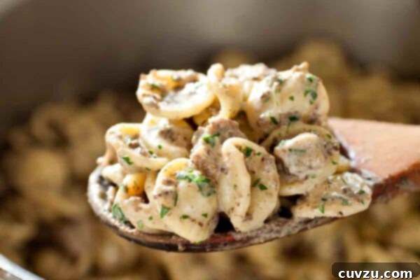 A wooden spoon full of pasta noricina, garnished with parsley