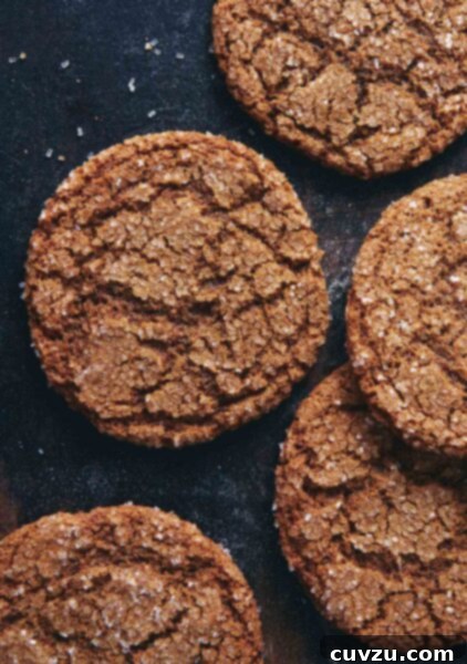 Spiced Rye Gingerbread Cookies 4 Five spiced rye ginger cookies
