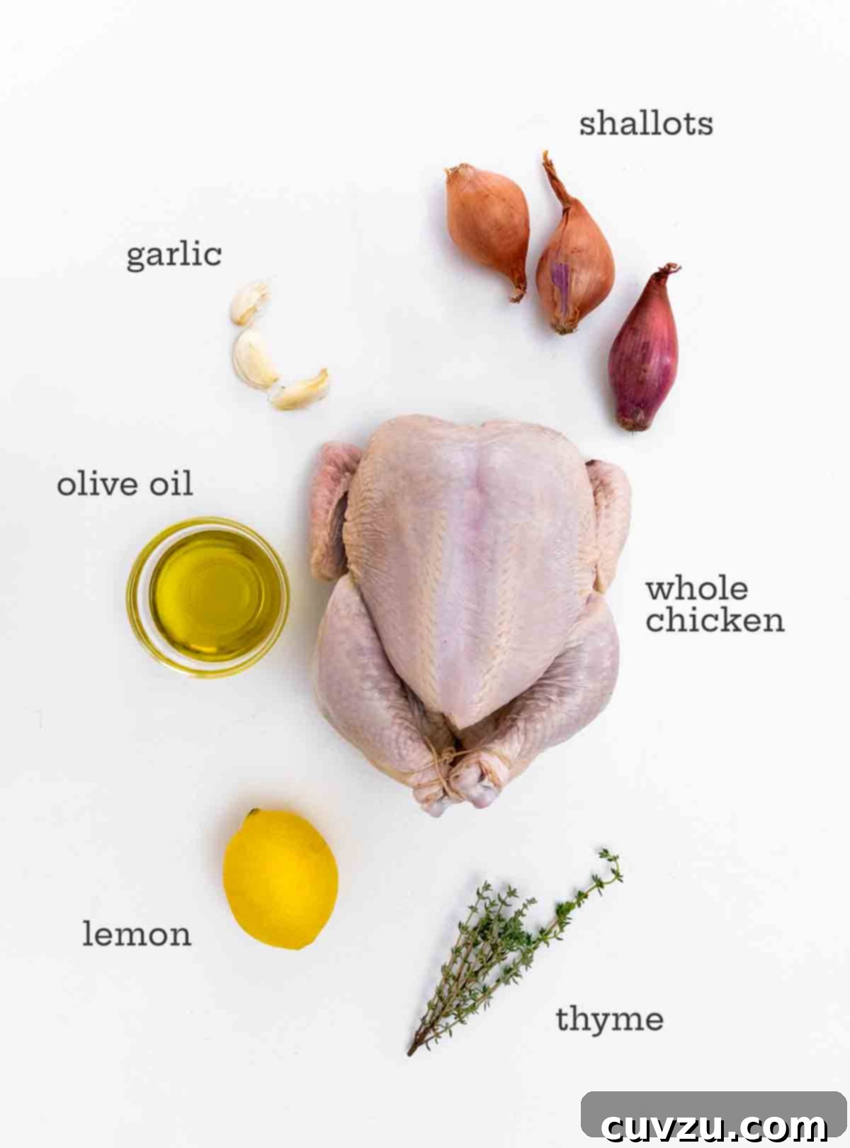 Dutch Oven Roasted Chicken and Caramelized Shallots 6 A whole chicken, shallots, garlic cloves, olive oil, a lemon, and some thyme on a white background.