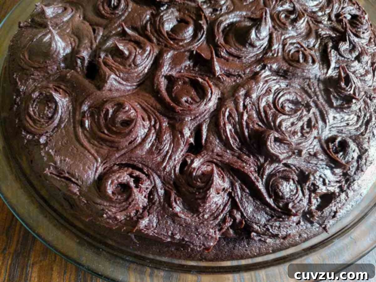 Double Chocolate Wacky Delight 8 A chocolate wacky cake with chocolate frosting swirled on top on a glass serving plate.