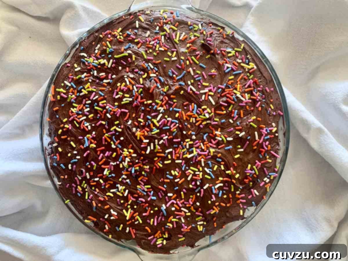 Double Chocolate Wacky Delight 7 A chocolate wacky cake with chocolate frosting and sprinkles in a glass pie plate.