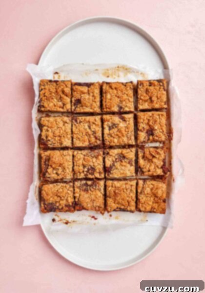 A close-up of several baked Date Bars, showing the golden-brown, textured oat crust and the rich, dark date filling beneath the crumble topping, ready to be served.