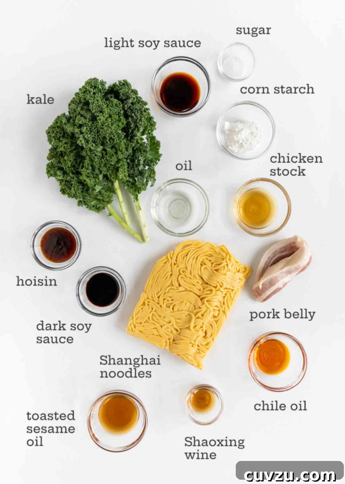 Ingredients for Shanghai noodles on a white background: noodles, kale, soy sayce, pork belly, chile oil, sesame oil, cornstarch.