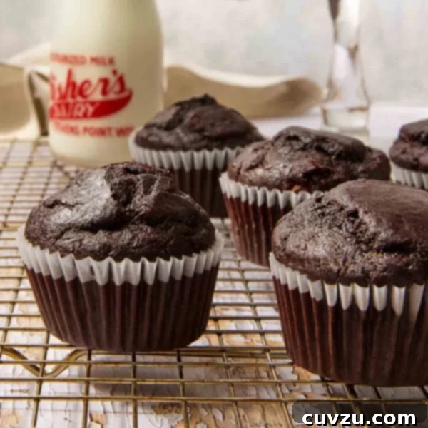 Chocolate muffins cooling on a wire rack.