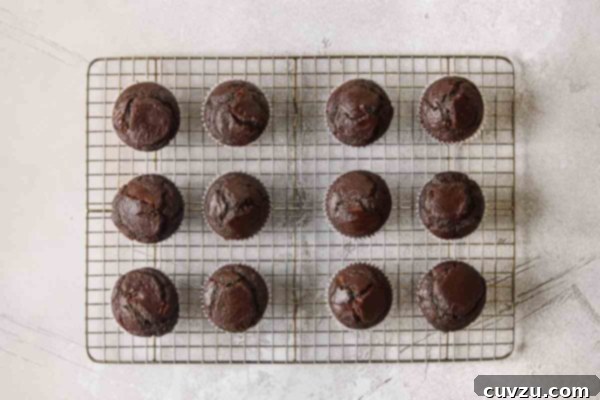Irresistible Chocolate Muffins 18 Twelve chocolate muffins cooling on a wire rack.