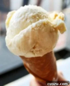 Homemade vanilla ice cream in a cone