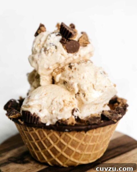 Sweet Six No-Churn Ice Cream Treats 8 No-Churn Peanut Butter Cup Ice Cream