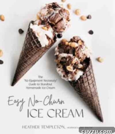 Sweet Six No-Churn Ice Cream Treats 9 Easy No-Churn Ice Cream Cookbook