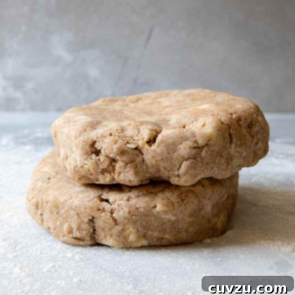 Two disks of whole wheat pie crust dough stacked one on top of the other.